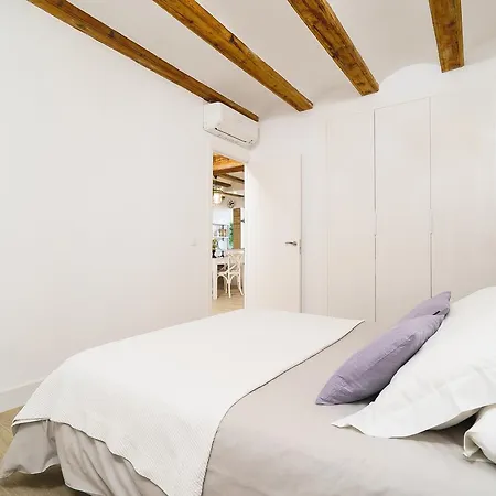 Apartment Vivaldi Center *
